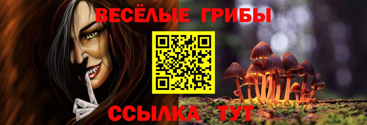 Минеральные Воды  Псилоцибиновые грибы мицелий  Вход с VPN 